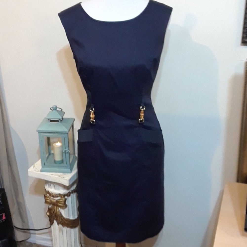 Beautiful Ellen Tracy Dress